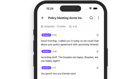 Meeting Recording & Transcripts